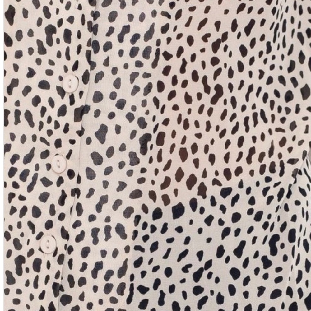 LEOPARD - Picture 6 of 6